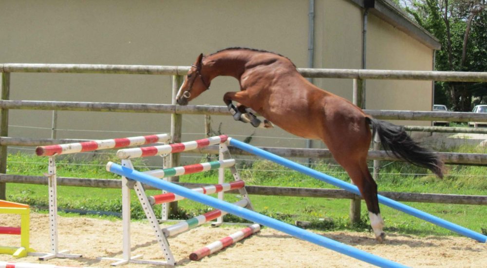 474487118_1541102553237239_883680179564771495_n