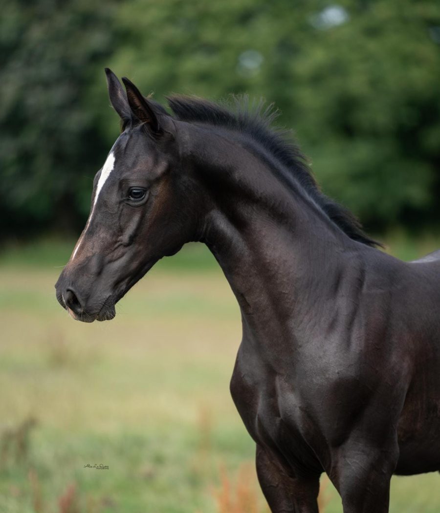 482061239_1170560608197441_4639436943502684258_n