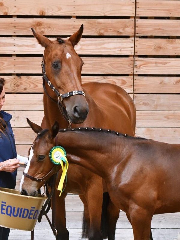 520288961_10226565784553338_1835553279844768099_n