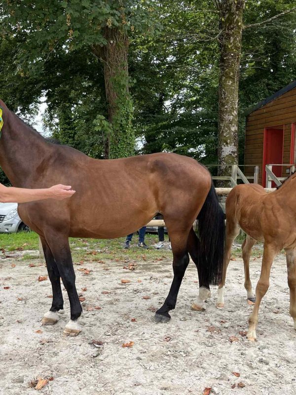 526227030_10236483155286271_2294856242081712313_n