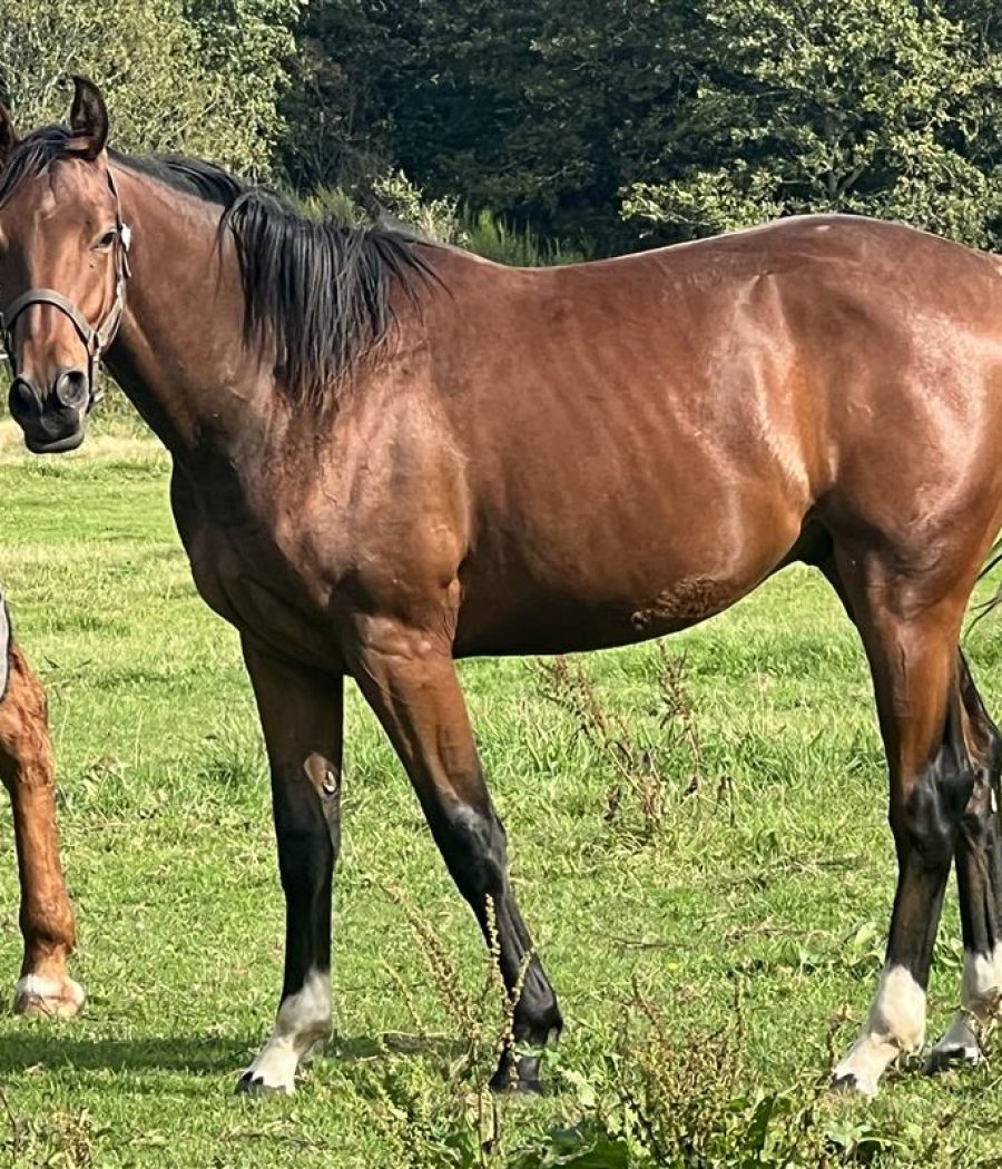 85wa5x8e33tj3iq1o1qtb3