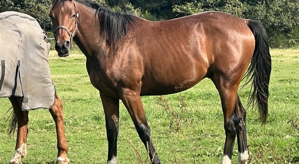 85wa5x8e33tj3iq1o1qtb3