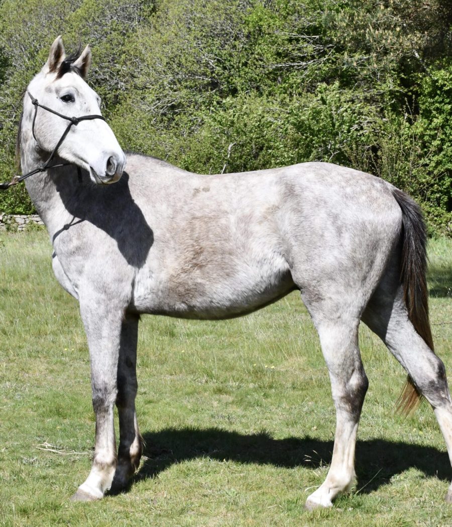 DSC_0126 2