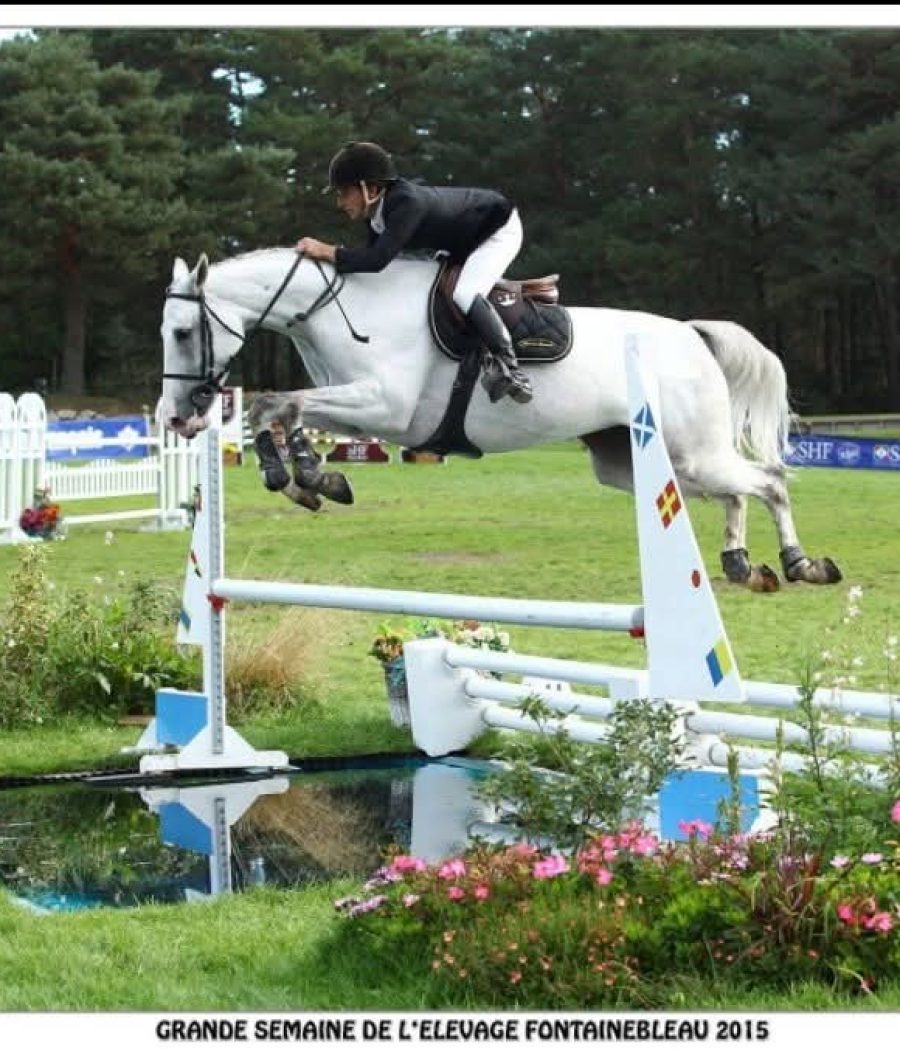 FB_IMG_1762199205524