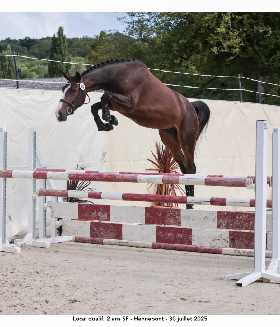 FB_IMG_1763664547782