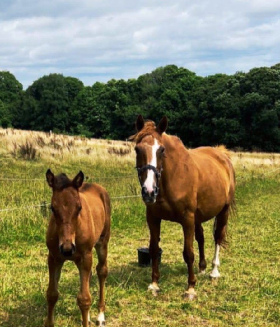 Messenger_creation_9CB14606-7727-4344-8948-69F730C4C2EA