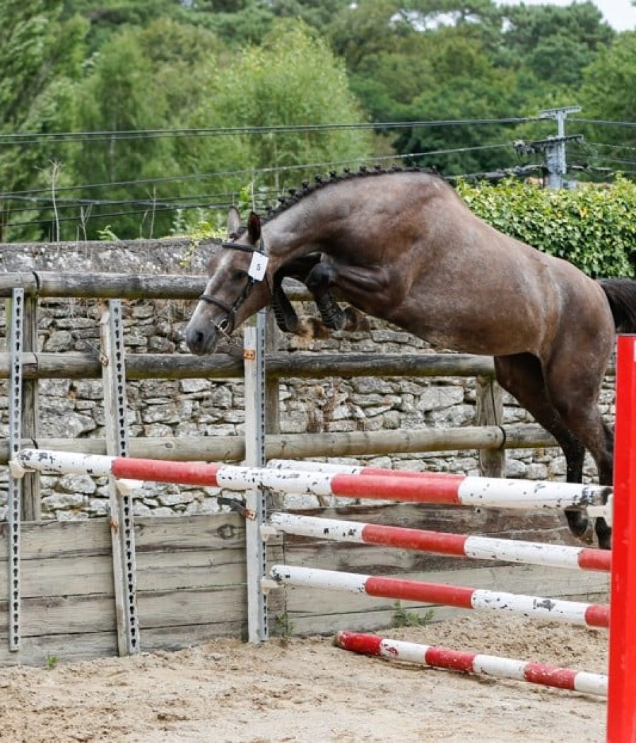 Messenger_creation_E9D64E1D-6FA9-450E-95C2-E7CE5282F8F0