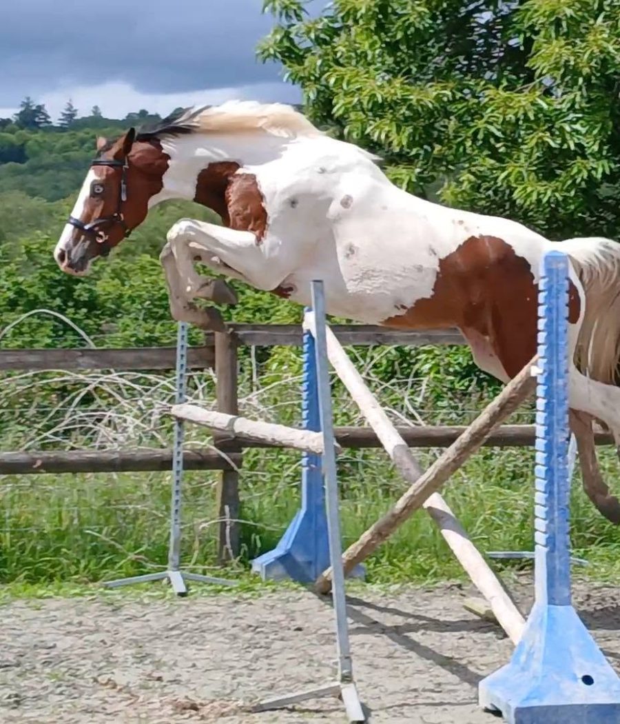 saut libr nrj
